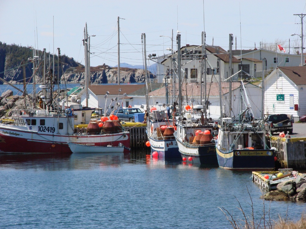 Fishing fleet in for the day