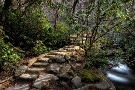 The Trail to Chimney Tops