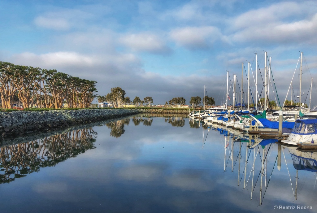 Marina Reflections