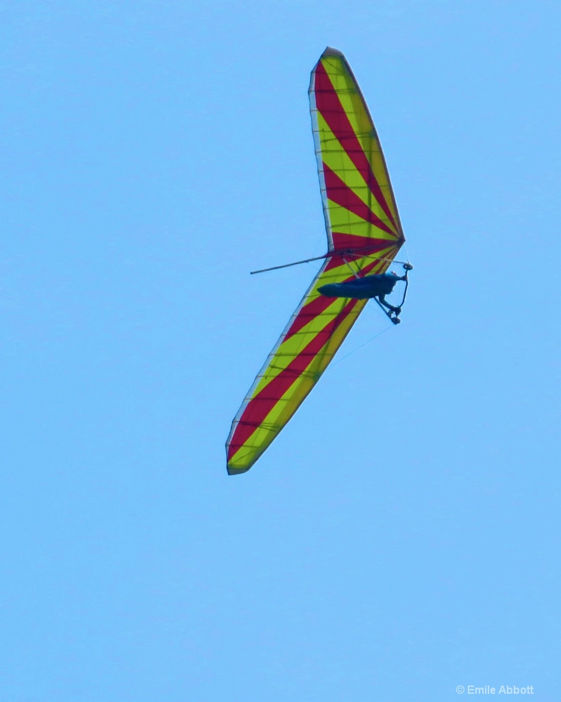 Soaring higher - ID: 15582297 © Emile Abbott