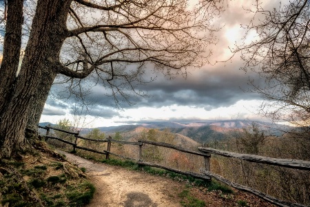 Cataloochee Overlook