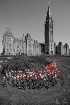 Ottawa Parliament...