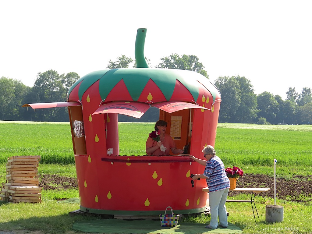 Selling Strawberries - ID: 15582520 © Emile Abbott