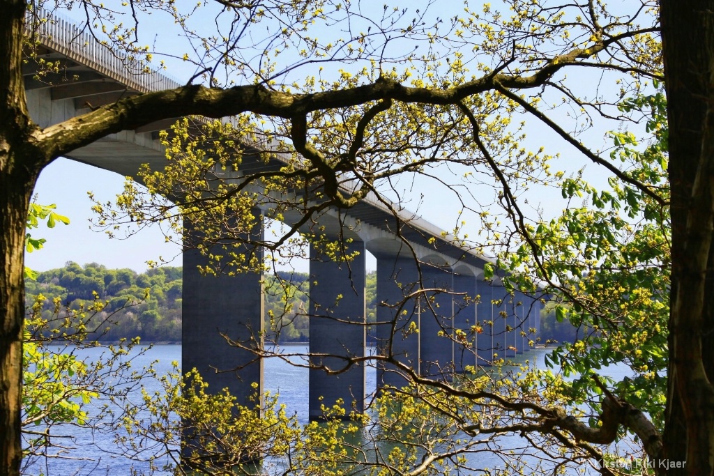 Vejle Bridge, Denmark