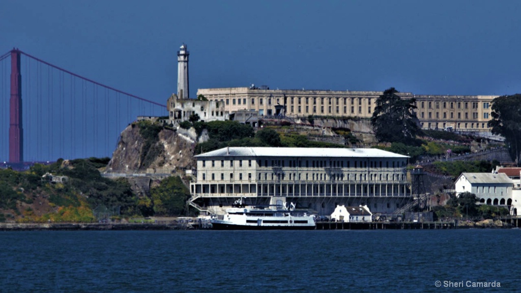 Alcatraz - ID: 15583308 © Sheri Camarda