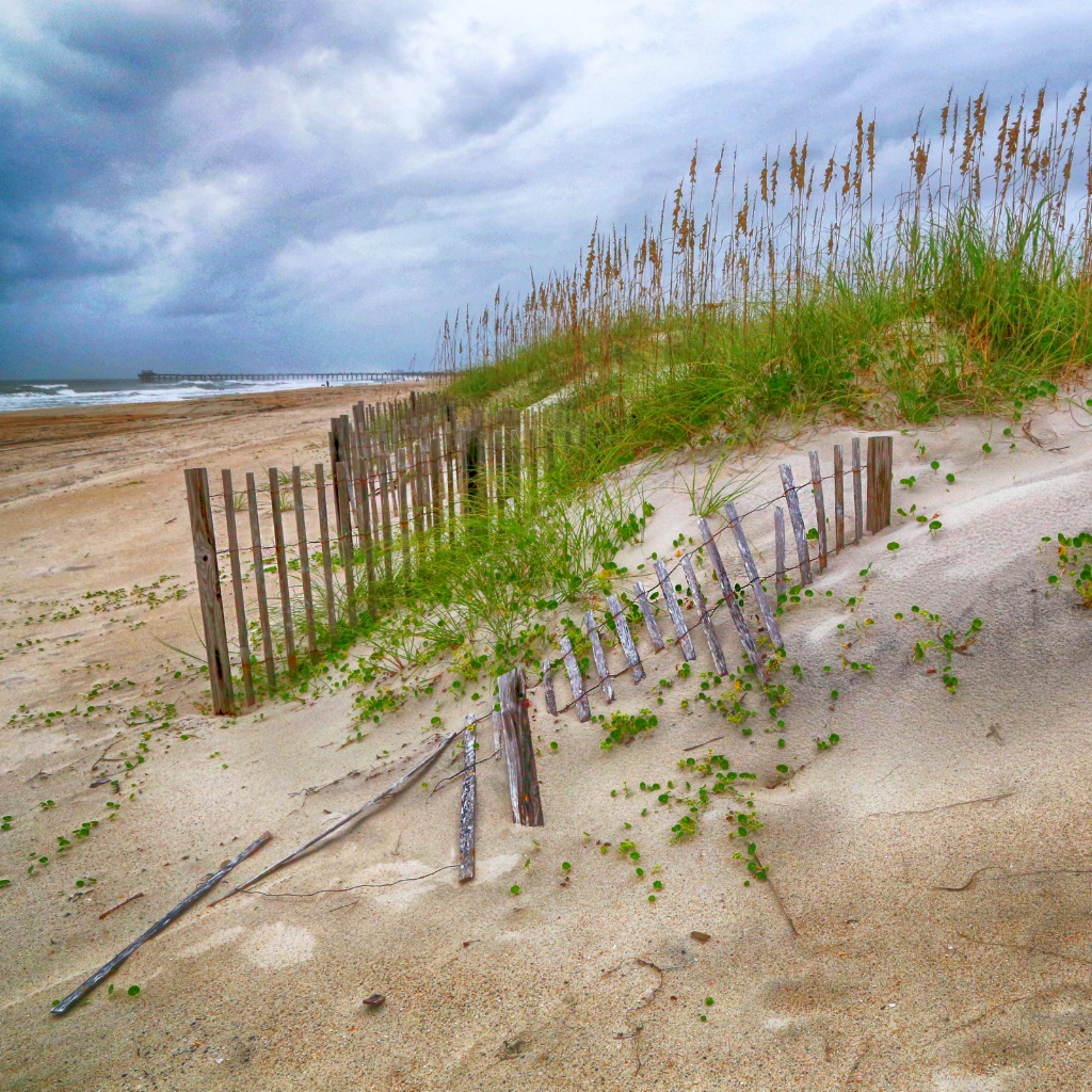 Dune Scape