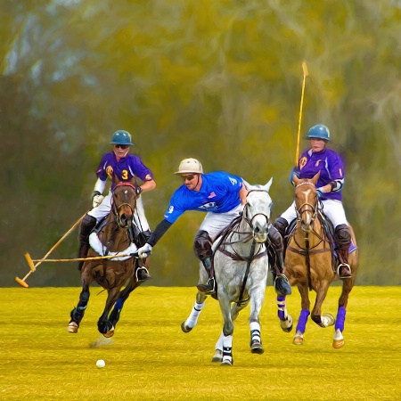 Polo Competition