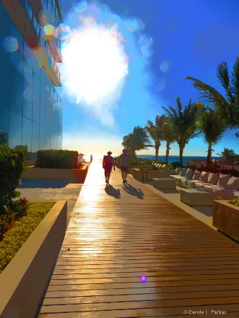 Sun Spots In Cancun