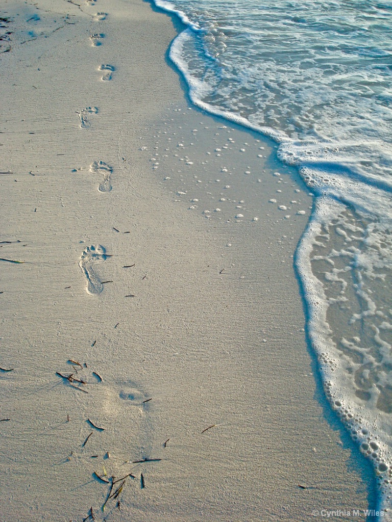 Footprints - ID: 15584435 © Cynthia M. Wiles