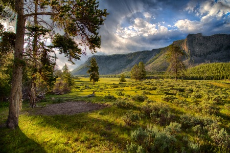 Yellowstone Morning