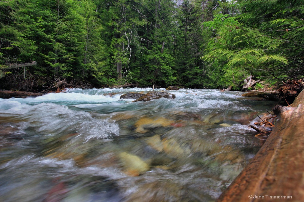 Avalanche Creek