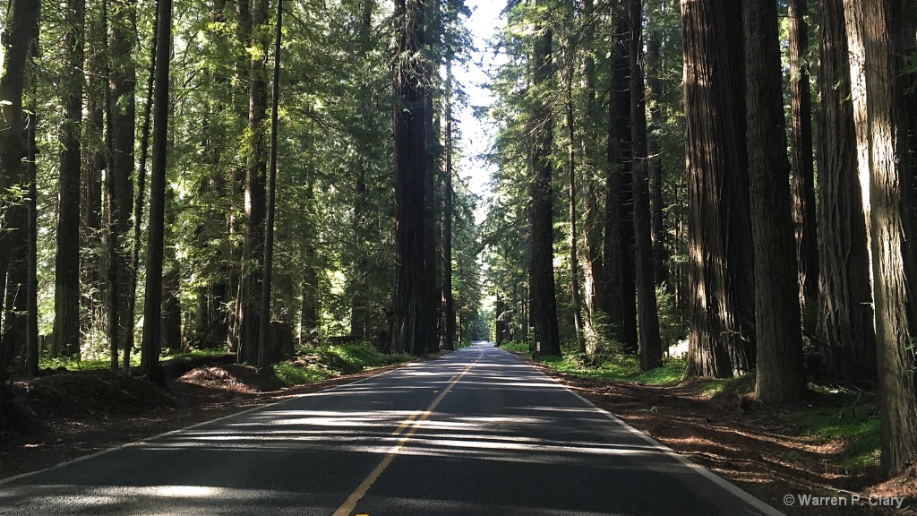 Looking down the straight and narrow