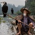 2Cormorant Fishing - ID: 15586789 © Louise Wolbers