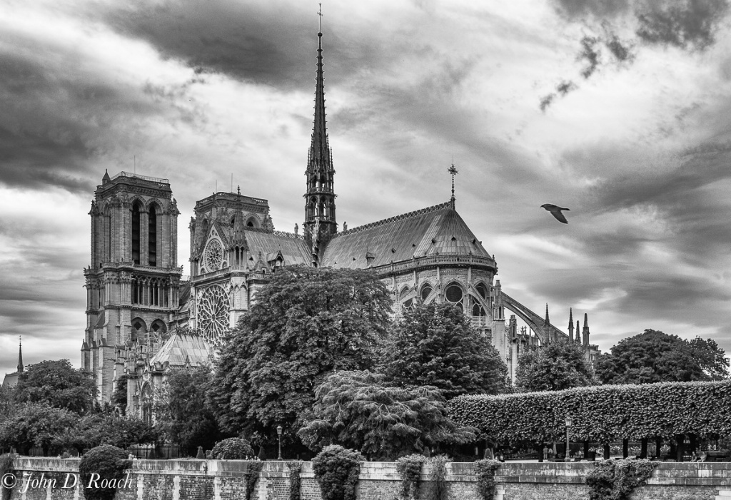 Notre Dame seen from banks of the Seine - ID: 15586861 © John D. Roach
