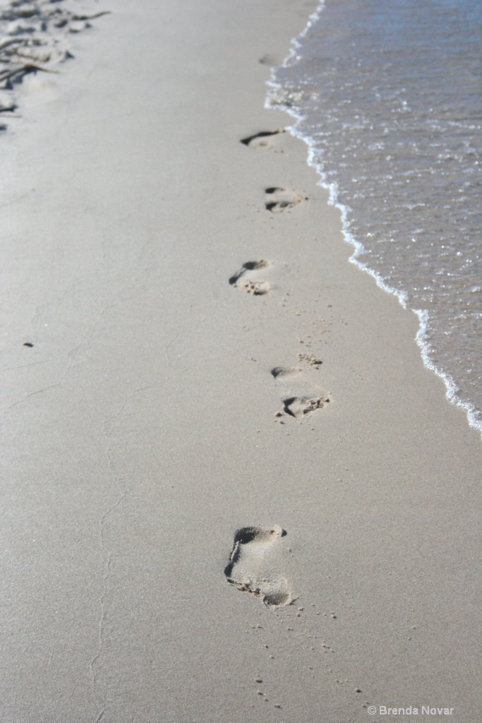 Footprints on the Beach 