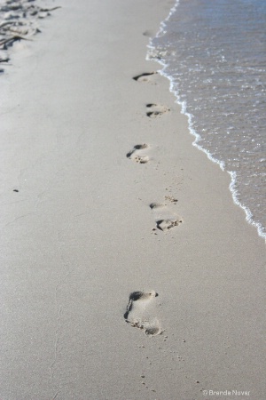 Footprints on the Beach 