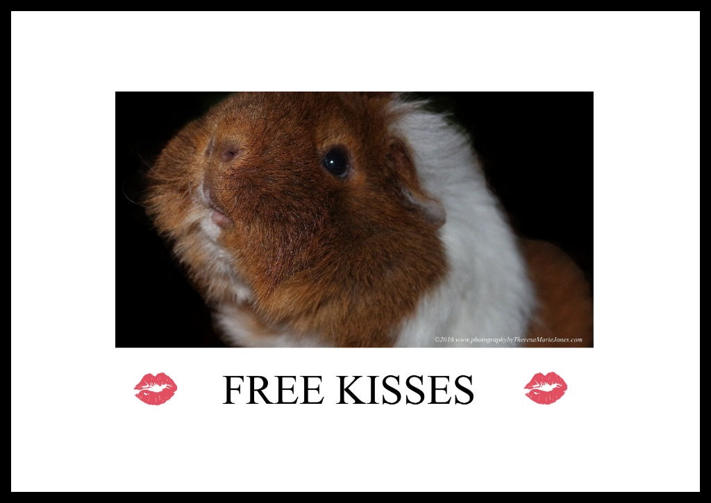 Free Kisses - ID: 15587004 © Theresa Marie Jones