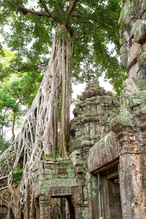 Angkor Wat, Cambodia