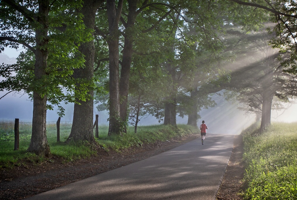 Early Morning Jog  