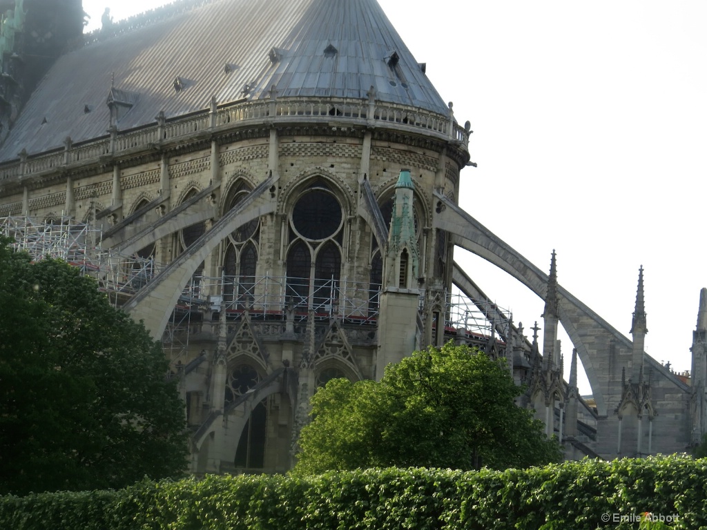 Notre Dame Flying Buttress - ID: 15587373 © Emile Abbott