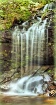 Trickle