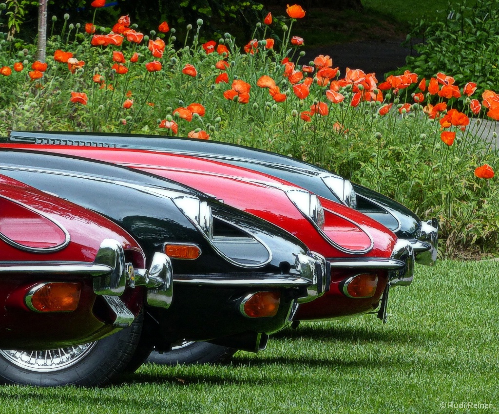 Jaguar E-Types align