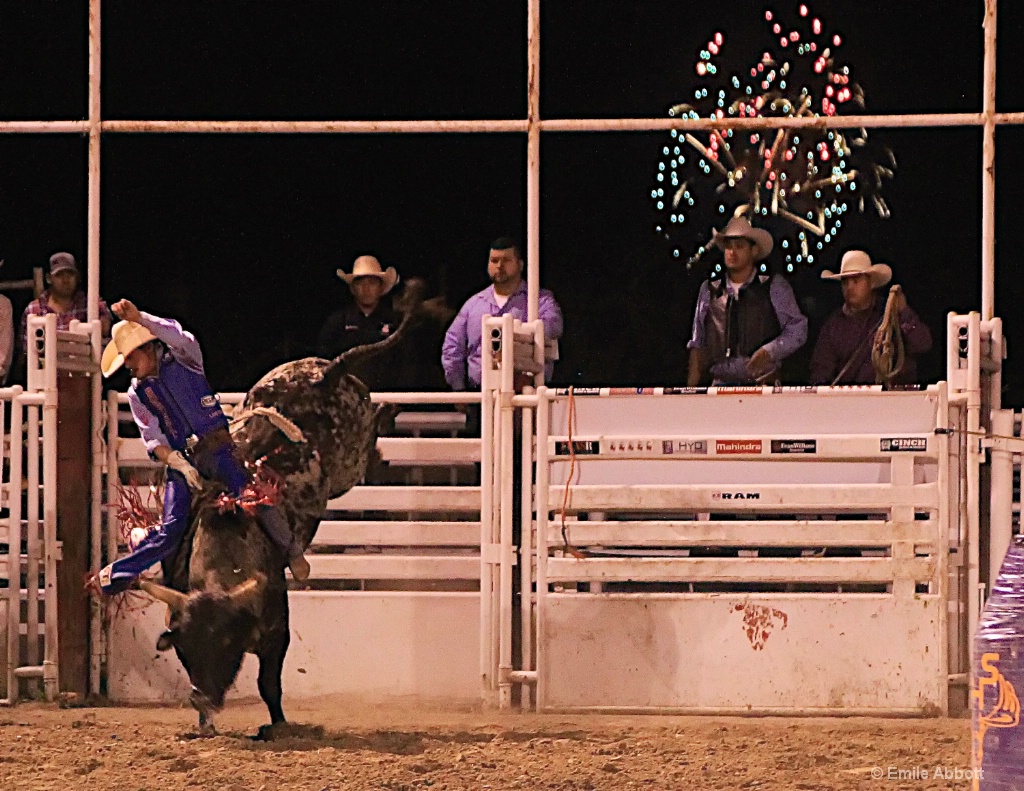 Rodeo 2015