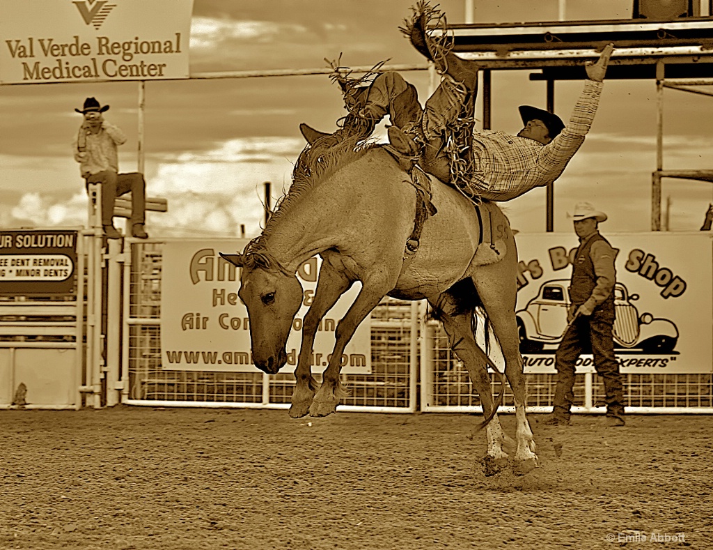 Rodeo 2008