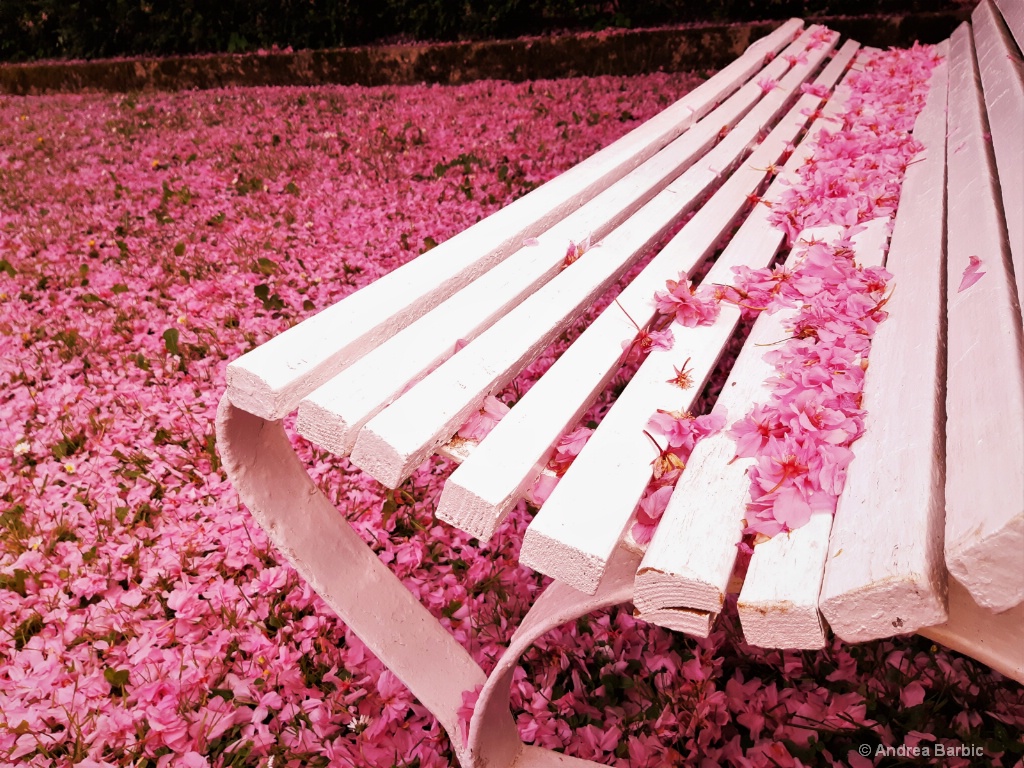  ..a flower bench..