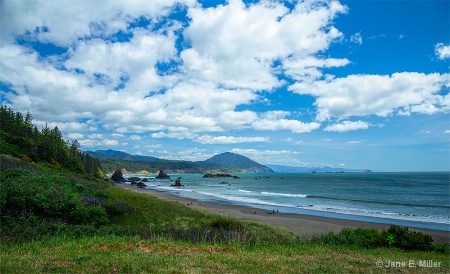 Oregon Shoreline