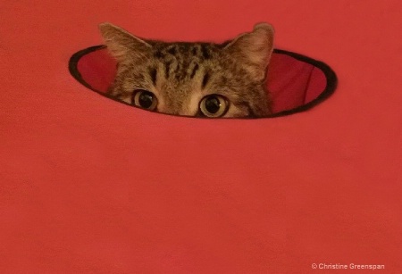 No One Can See Me!
