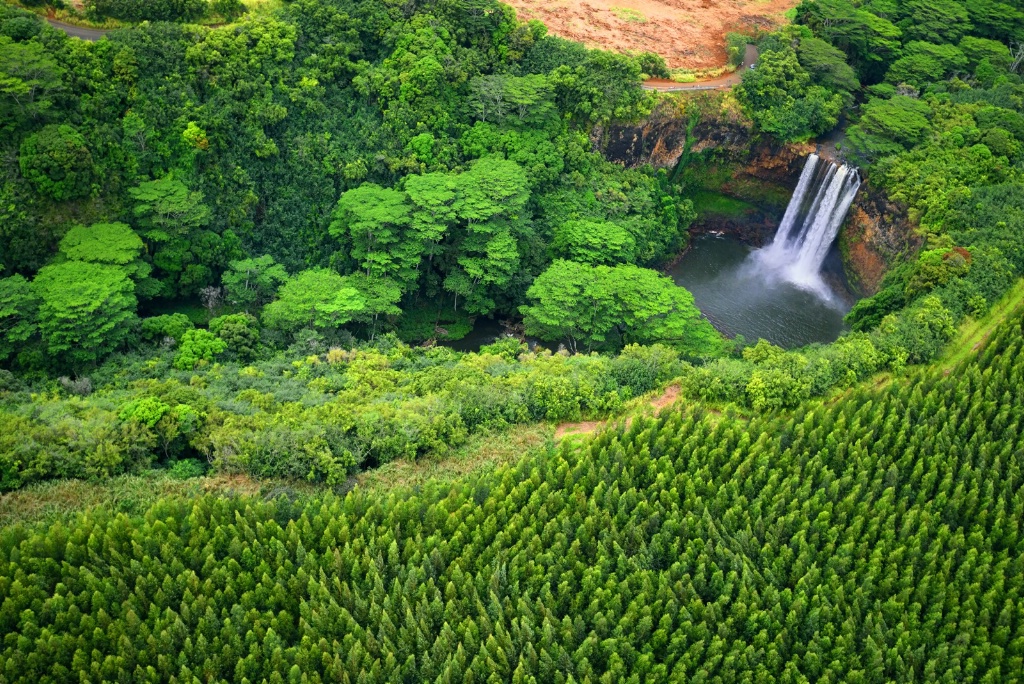 Wailua Falls