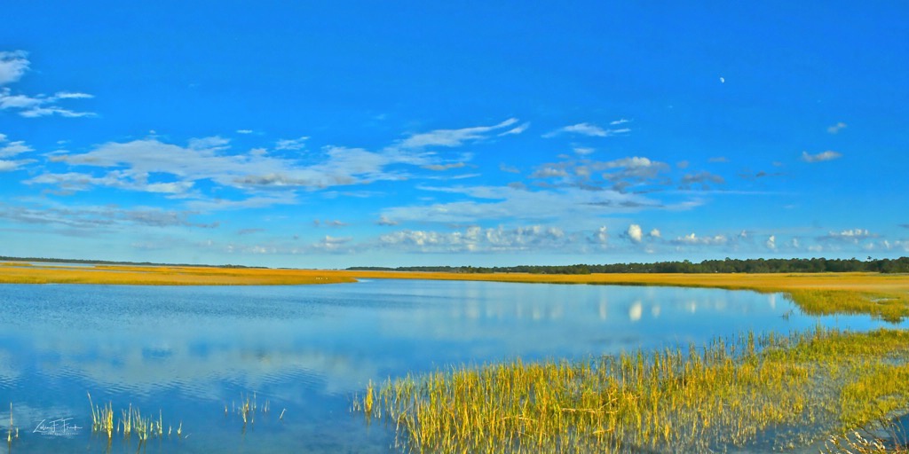 Marsh at Kiawah Island #1 - ID: 15592205 © Zelia F. Frick