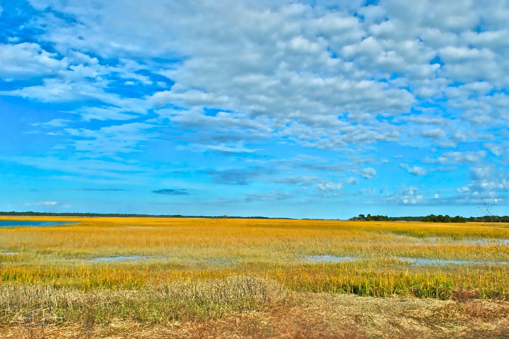 Morning at Kiawah Marsh - ID: 15592207 © Zelia F. Frick