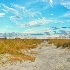 2Sand Dunes at Kiawah Ocean Golf Course - ID: 15592208 © Zelia F. Frick