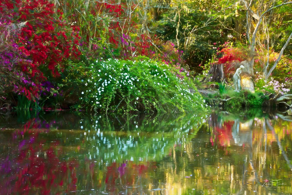 Reflections at Magnolia Gardens - ID: 15592216 © Zelia F. Frick