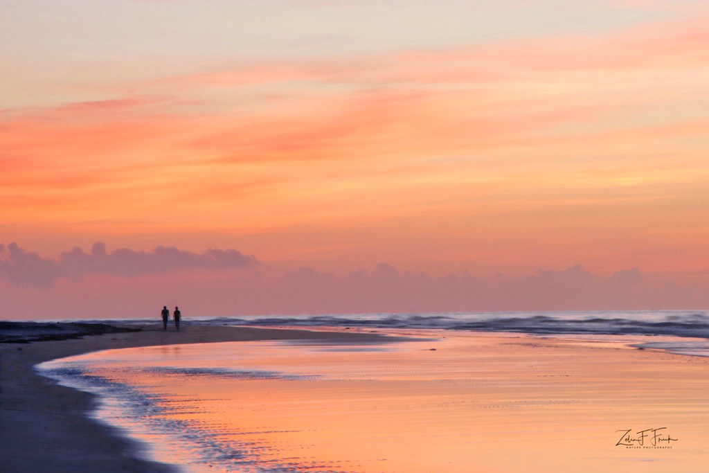 Morning Walk on the Beach - ID: 15592224 © Zelia F. Frick
