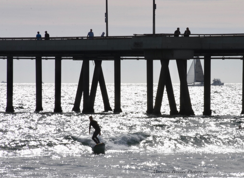 A Day at Venice Beach