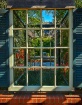 Thru the WIndow