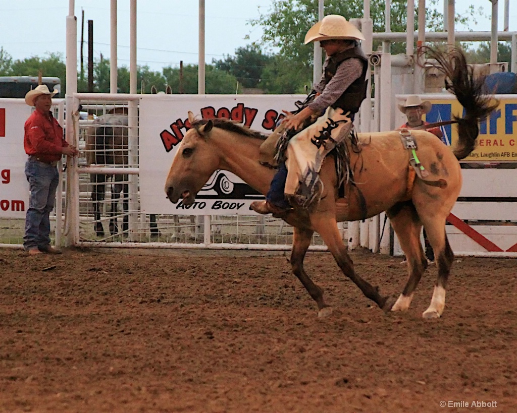 Riding High - ID: 15593585 © Emile Abbott