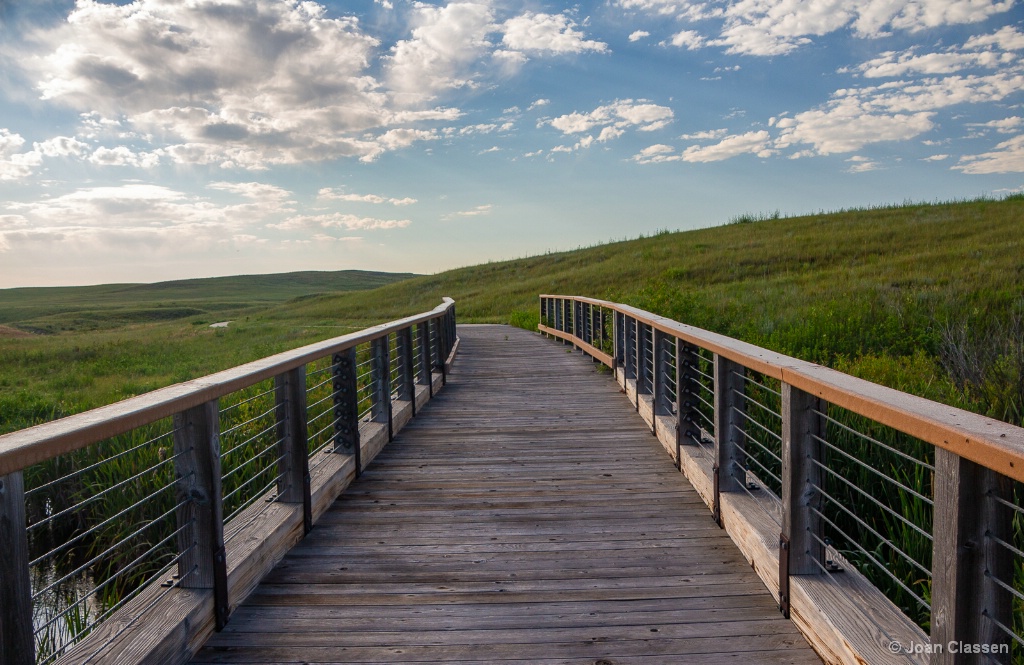 The Bridge to Forever