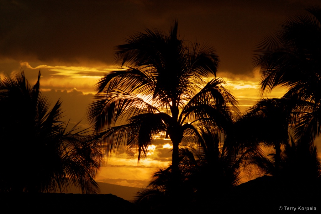 Wailea Sunset - ID: 15594085 © Terry Korpela