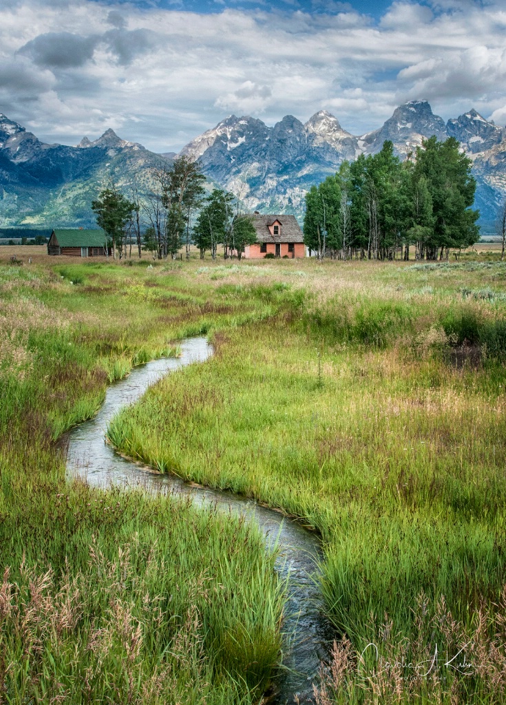 Along Mormon Row