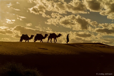 Sunset on the Sahara