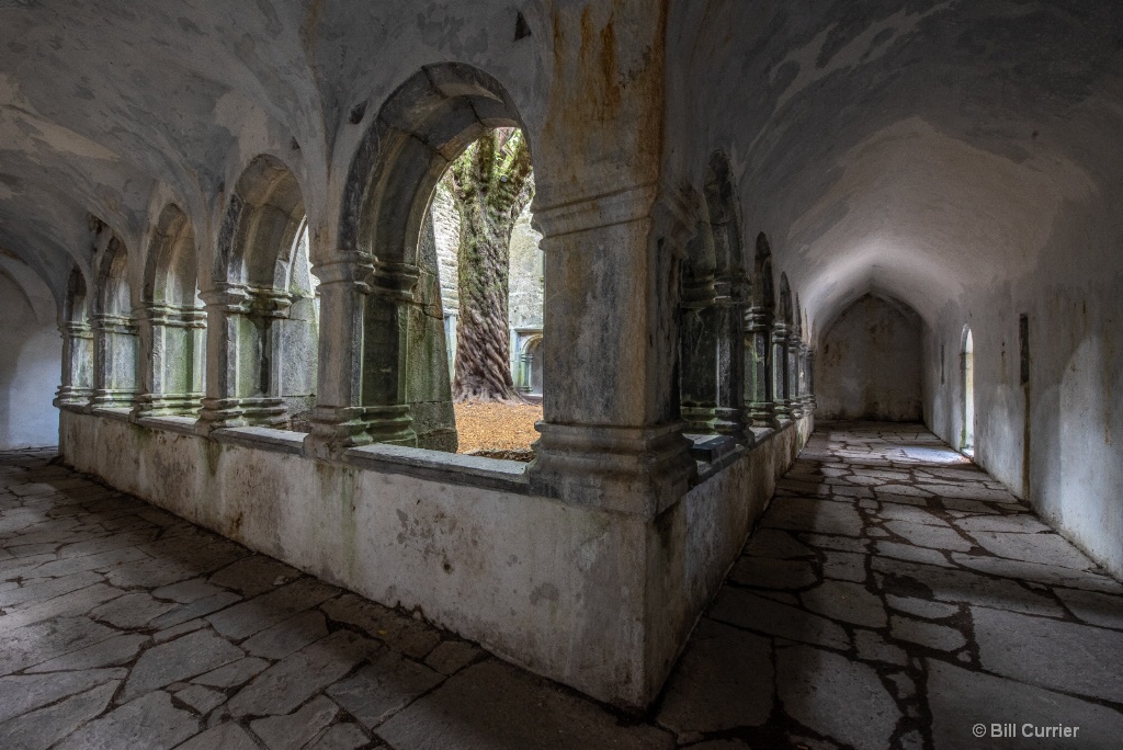 Muckross Abbey - Killarney National Park Ireland - ID: 15594932 © Bill Currier