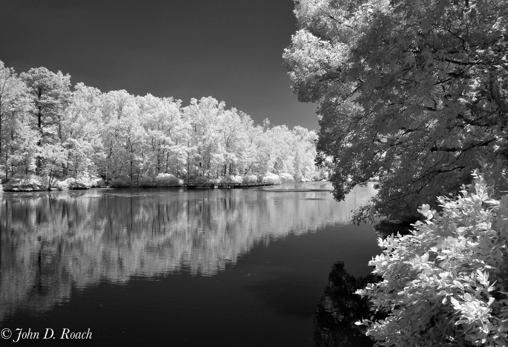 Summer at the Pond - ID: 15595434 © John D. Roach