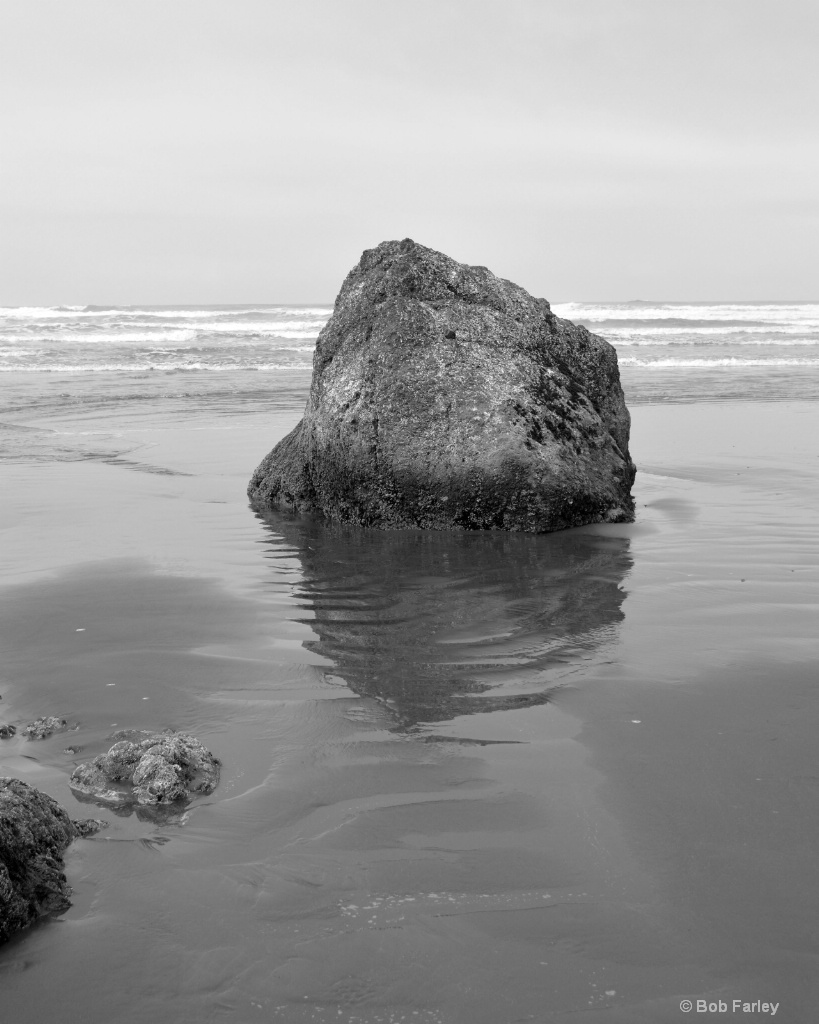 Ruby Beach solo rock black and white