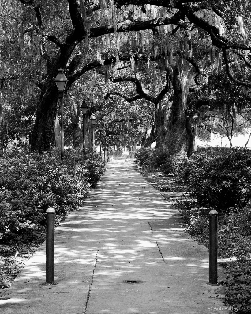 forsythe park bw - ID: 15595495 © Bob Farley