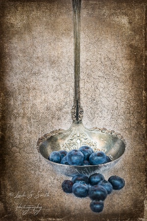 bountiful blueberries