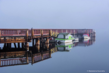 On the dock